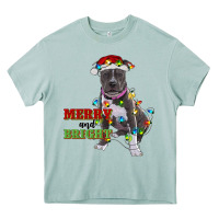 Arona merry and bright pitbull Heavy Core Tee - RanaPortraitStore