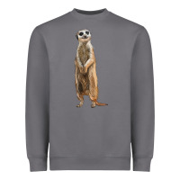 Storm Meerkat Heavyweight Sweatshirt - LillyAllenDesigns