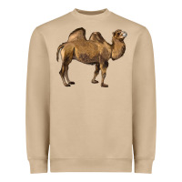 Camel Heavyweight Sweatshirt | Teevron