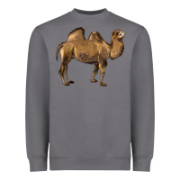 Storm Camel Heavyweight Sweatshirt - LillyAllenDesigns