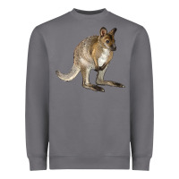 Storm Hand Drawn Wallaby Animal Heavyweight Sweatshirt - LillyAllenDesigns