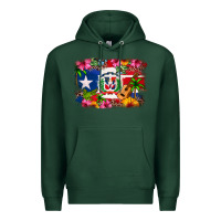 Sports Green Dominican Republic and Puerto Rico Flag Premium Hoodie - texasbilliewilder