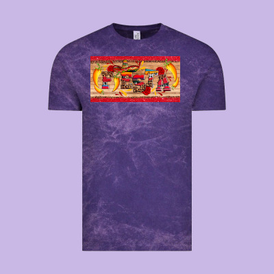 Fiesta  License Plate Template Vintage Tee Designed By Artiststas
