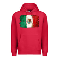 Cardinal Mexican Flag Premium Hoodie - texasbilliewilder