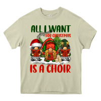 Mossy all i want for christmas is a choir Heavy Core Tee - BarkalooDesign