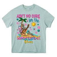 Arona aint no cure for the summer time blues Heavy Core Tee - texasbilliewilder
