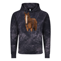 Cloud Black brown horse Vintage Hoodie - RanaPortraitStore