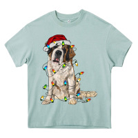 Arona saint bernard with christmas lights Heavy Core Tee - RanaPortraitStore
