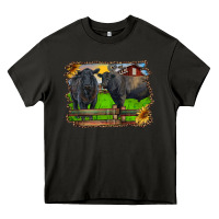 Asphalt black angus cattle and bull in barnyard Heavy Core Tee - RanaPortraitStore