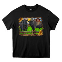 Black black angus cattle and bull in barnyard Heavy Core Tee - RanaPortraitStore
