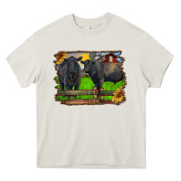 Cream black angus cattle and bull in barnyard Heavy Core Tee - RanaPortraitStore