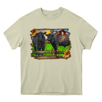 Mossy black angus cattle and bull in barnyard Heavy Core Tee - RanaPortraitStore