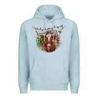 Blue Mist christmas  texas longhorn Premium Hoodie - JahusDesignShop