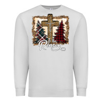 Dove Grey Jesus is the reason Premium Sweatshirt - Bettercallsaul