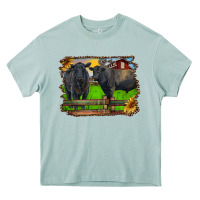 Arona black angus cattle and bull in barnyard Heavy Core Tee - RanaPortraitStore