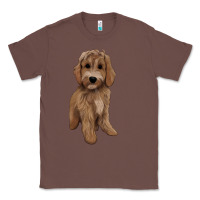 Chestnut maltipoo Classic Tee - BarkalooDesign