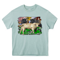 Arona charolais bull black angus cattle and bull with barnyard and cowhide Heavy Core Tee - RanaPortraitStore