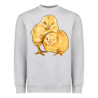Heather Grey chicks Heavyweight Sweatshirt - Artiststas