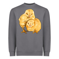 Chicks Heavyweight Sweatshirt | Teevron
