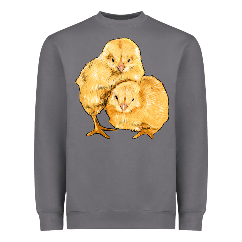 Chicks Heavyweight Sweatshirt by Artiststas | Teevron