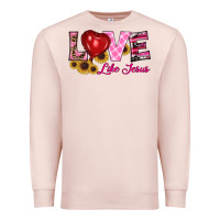 Pale Pink valentine's day love like jesus Premium Sweatshirt - RanaPortraitStore