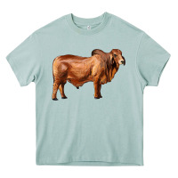 Arona brahman bull Heavy Core Tee - RanaPortraitStore