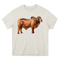 Cream brahman bull Heavy Core Tee - RanaPortraitStore