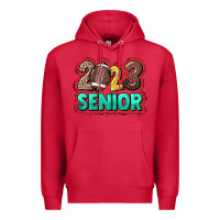 Cardinal 2023 senior Football Premium Hoodie - NancyCooperArtShop