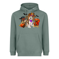 Sage Halloween beagle dog Heavyweight Hoodie - RanaPortraitStore