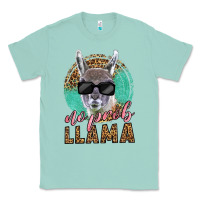 Seafoam western no prob llama Classic Tee - LillyAllenDesigns
