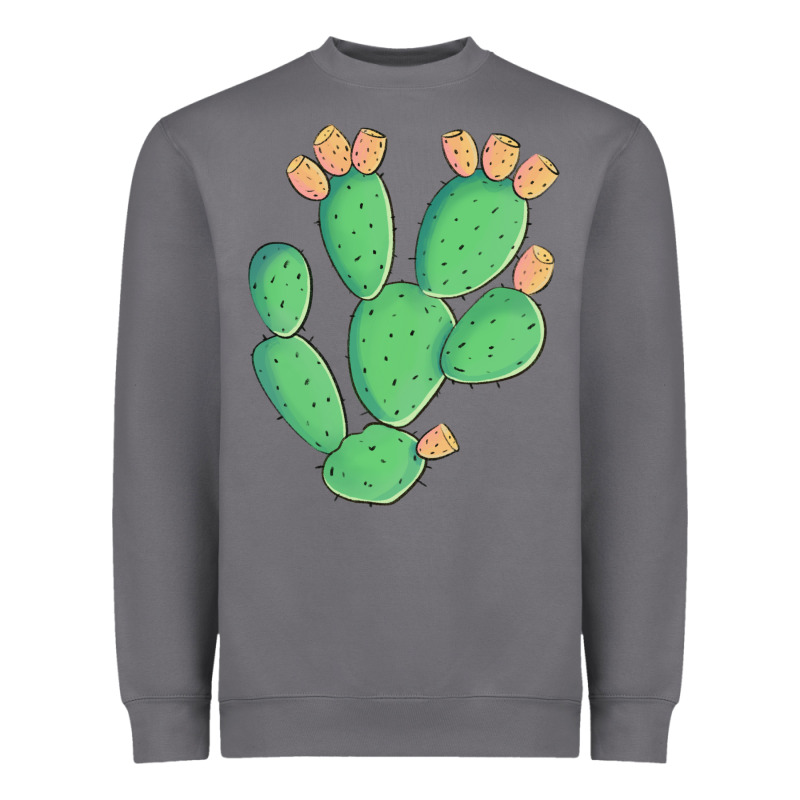 Texas Prickly Pear Cactus Heavyweight Sweatshirt by Artiststas | Teevron