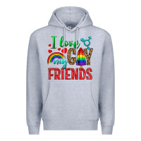 Heather Grey I love my gay friends Premium Hoodie - NancyCooperArtShop