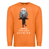 Carrot Bernie it' could outside Premium Sweatshirt - Bettercallsaul