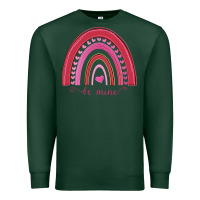 Sports Green Valentines Day Rainbow Premium Sweatshirt - Bettercallsaul