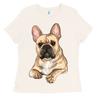 Bone French bulldog sitting Ladies Tee - RanaPortraitStore