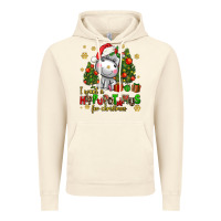 Vintage Artic i want a hippopotamus for christmas Vintage Hoodie - AdoDesignShop