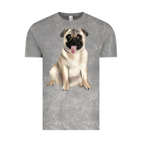 Cloud Rock pug Vintage Tee - JahusDesignShop