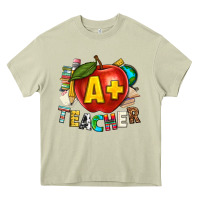 Mossy a plus teacher Heavy Core Tee - texasbilliewilder