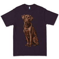 Labrador Retriever Premium Tee | Teevron
