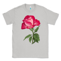 Moon Dust Love At First Sight Rose Classic Tee - LillyAllenDesigns