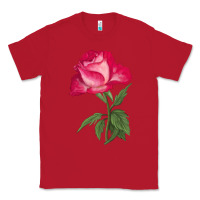 Red Love At First Sight Rose Classic Tee - LillyAllenDesigns