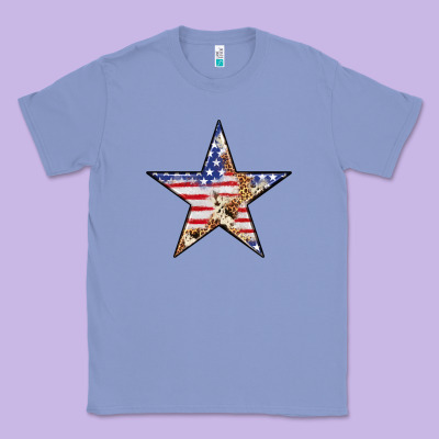 American Flag Star Classic Tee Designed By Lillyallendesigns