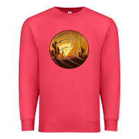 Cardinal Desert Cactus Sunset Volleyball Premium Sweatshirt - Bettercallsaul
