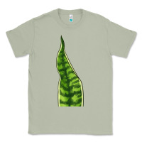 Matcha Snake Plant Classic Tee - LillyAllenDesigns