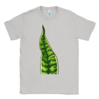 Moon Dust Snake Plant Classic Tee - LillyAllenDesigns