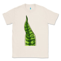 Natural Snake Plant Classic Tee - LillyAllenDesigns