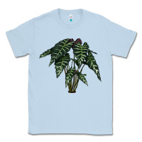 Dusty Blue Amazon Elephant Ear Classic Tee - LillyAllenDesigns
