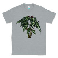 Heather Grey Amazon Elephant Ear Classic Tee - LillyAllenDesigns