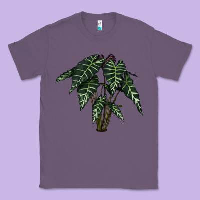 Amazon Elephant Ear Classic Tee Designed By Lillyallendesigns