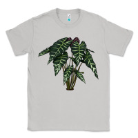 Moon Dust Amazon Elephant Ear Classic Tee - LillyAllenDesigns